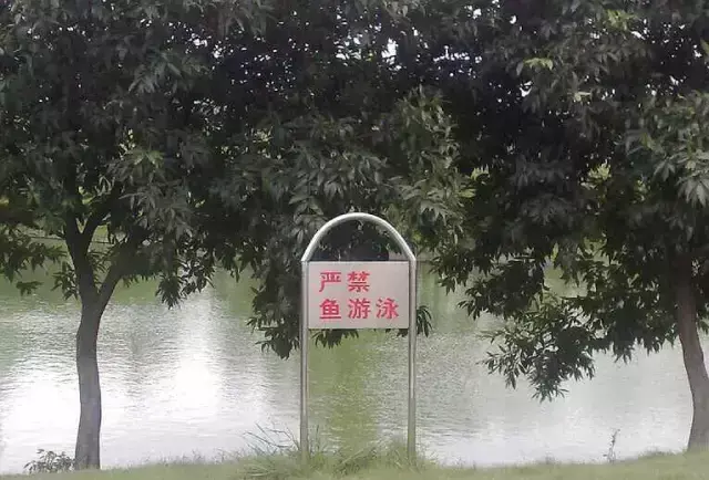 這一些沙雕標(biāo)牌廣告標(biāo)語(yǔ)，讓我站路邊笑了半天停不下來23