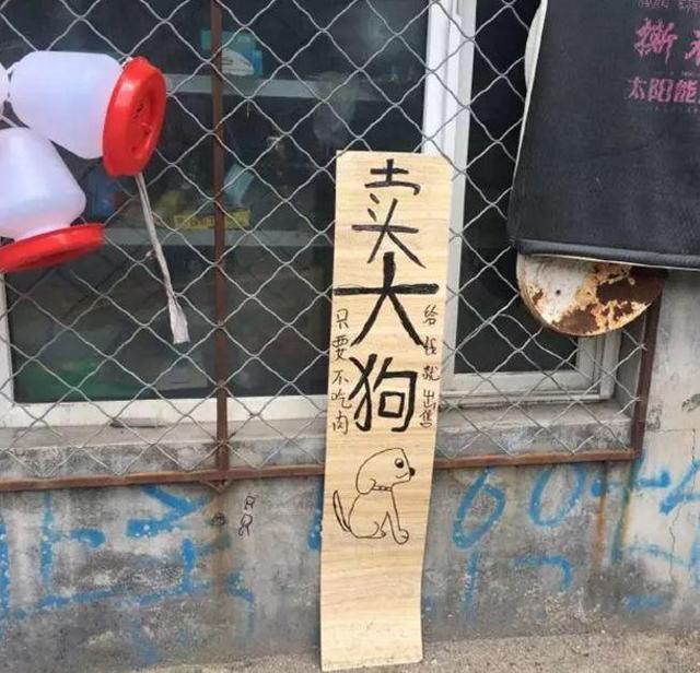 中國(guó)街頭燈箱廣告牌有多野？看看這一些讓人笑掉大牙的牌子名20